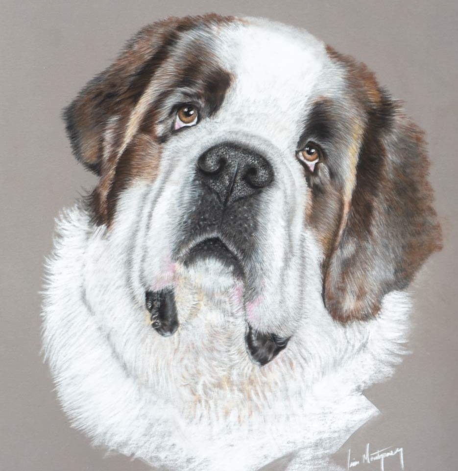dog portrait artist scotland