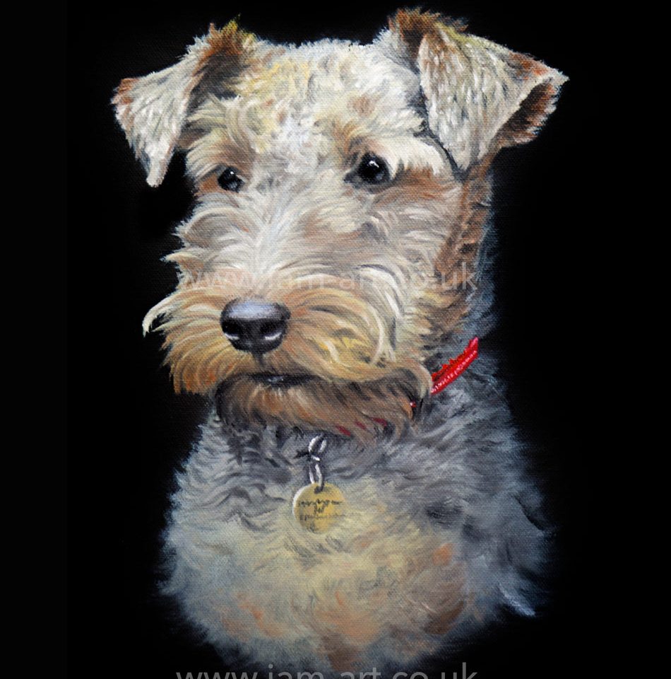 dog pet portrait artist north east