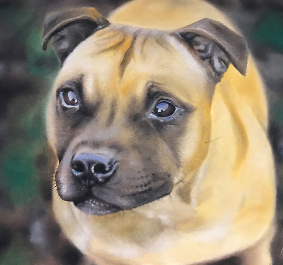 dog pet portrait artist aberdeenshire
